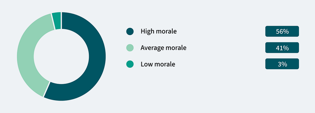 How would you rate morale at your current company graphic.